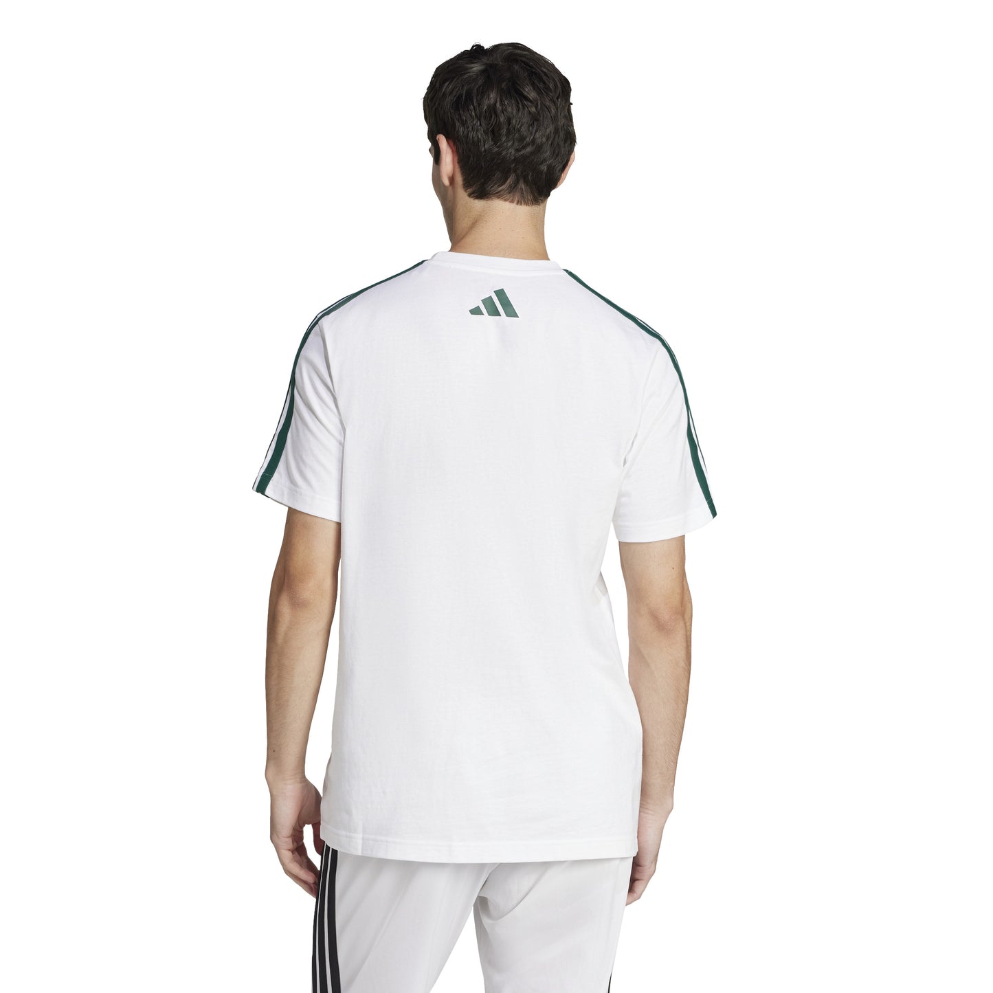 T-shirts de Algodão Homem Adidas Colleg