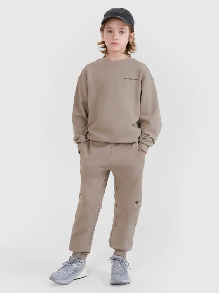 Sweatshirts de Algodão Menino 4F