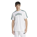 T-shirts de Algodão Homem Adidas Colleg