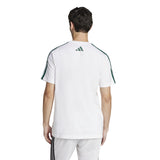 T-shirts de Algodão Homem Adidas Colleg