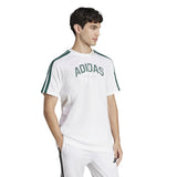T-shirts de Algodão Homem Adidas Colleg
