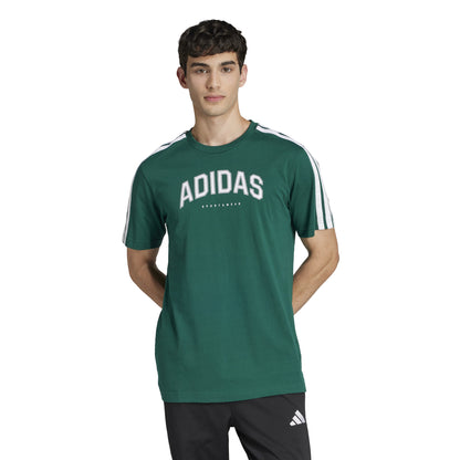 T-shirts de Algodão Homem Adidas Codes Collegiate