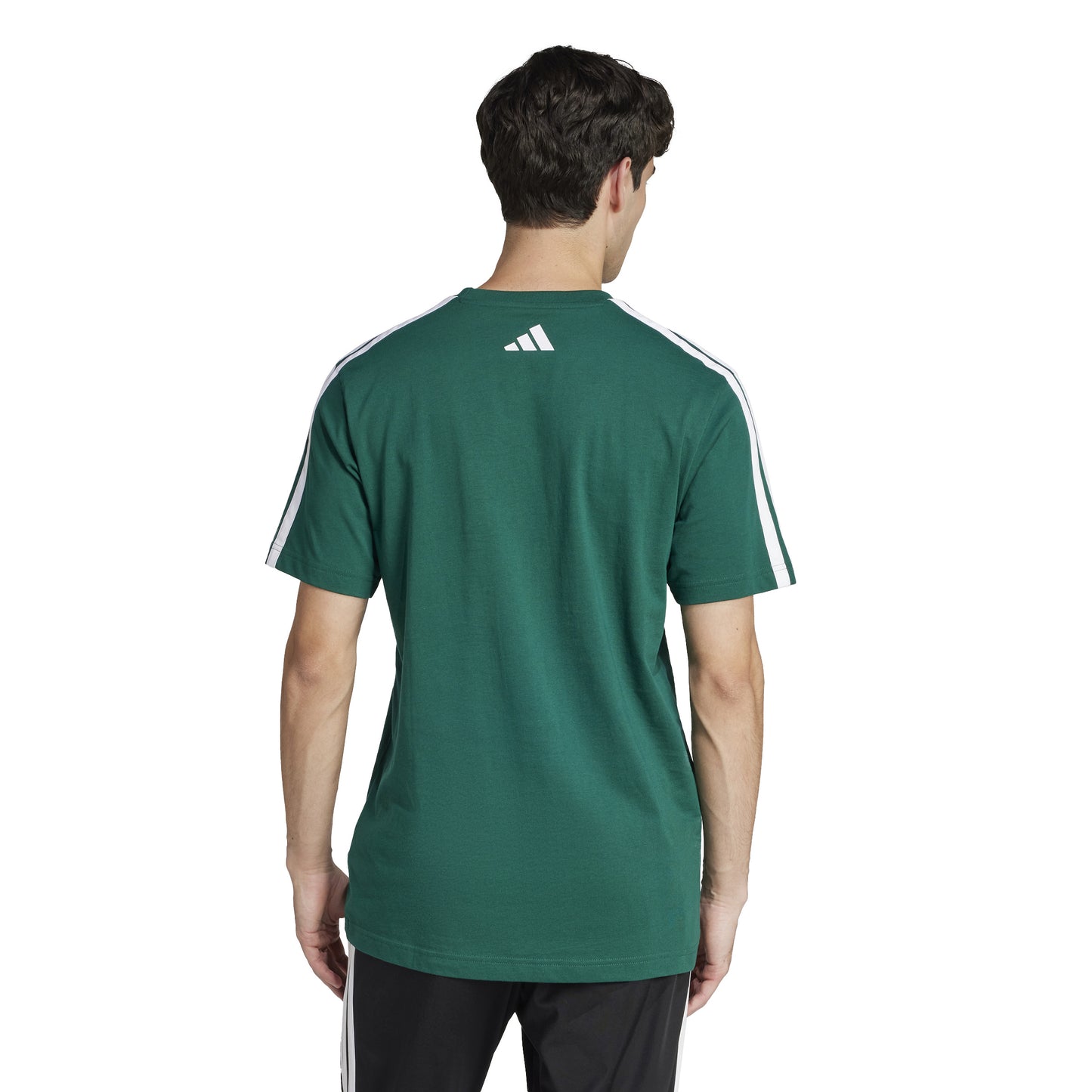 T-shirts de Algodão Homem Adidas Codes Collegiate