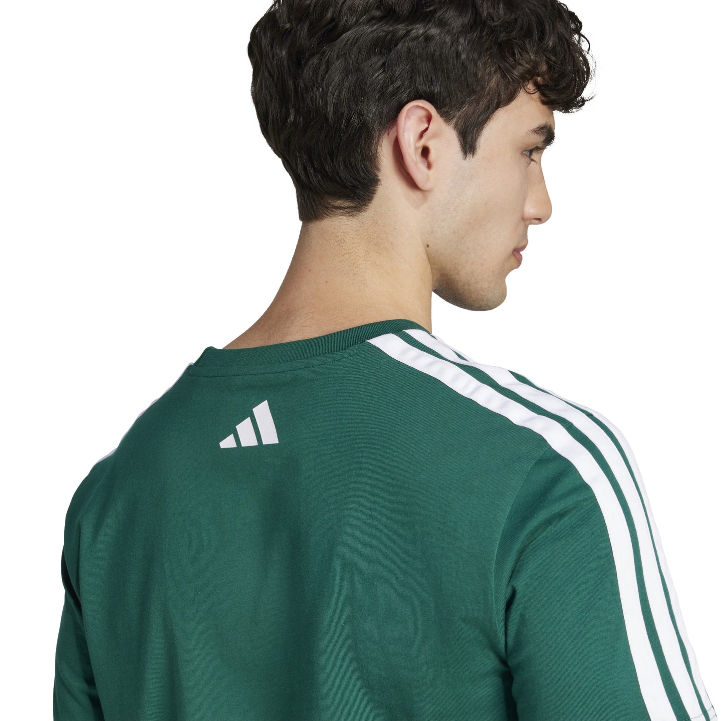 T-shirts de Algodão Homem Adidas Codes Collegiate