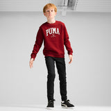 Sweatshirts Menino Puma