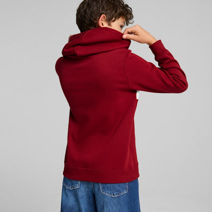 Sweatshirts Cardadas Menino Puma