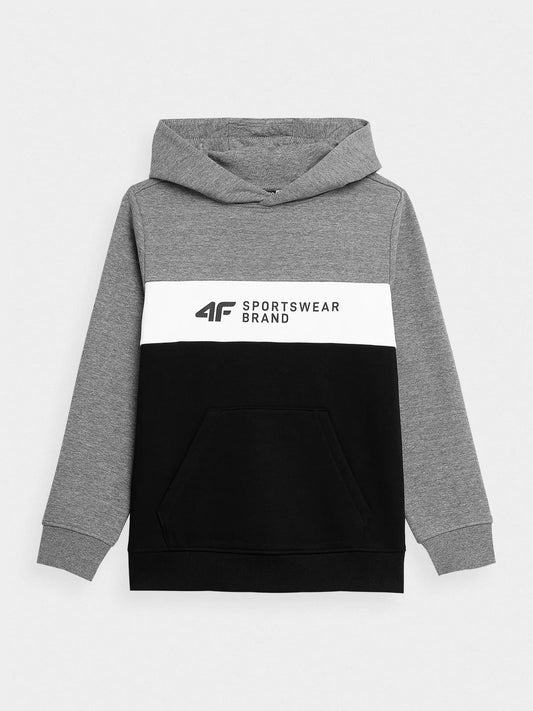 Sweatshirts Menino 4F