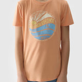 T-shirts de Algodão 4F