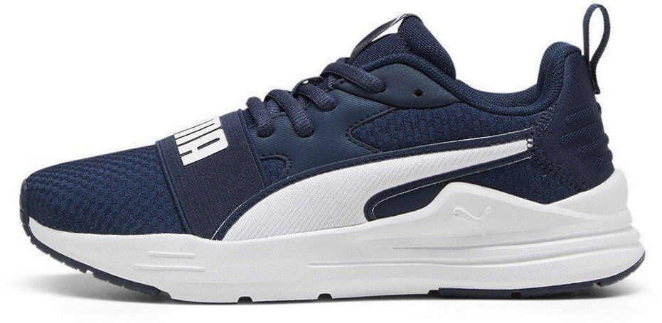 Imagem do slide
